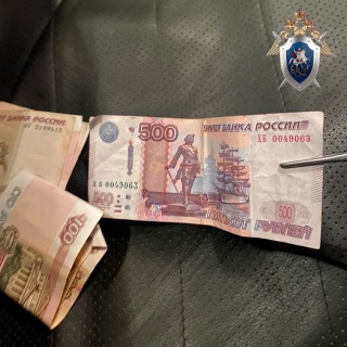 Житель Дзержинска пытался подкупить инспектора ДПС - фото 1