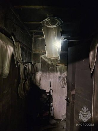 Пятерых взрослых и одного ребенка спасли из горящей квартиры в Нижнем Новгороде - фото 2