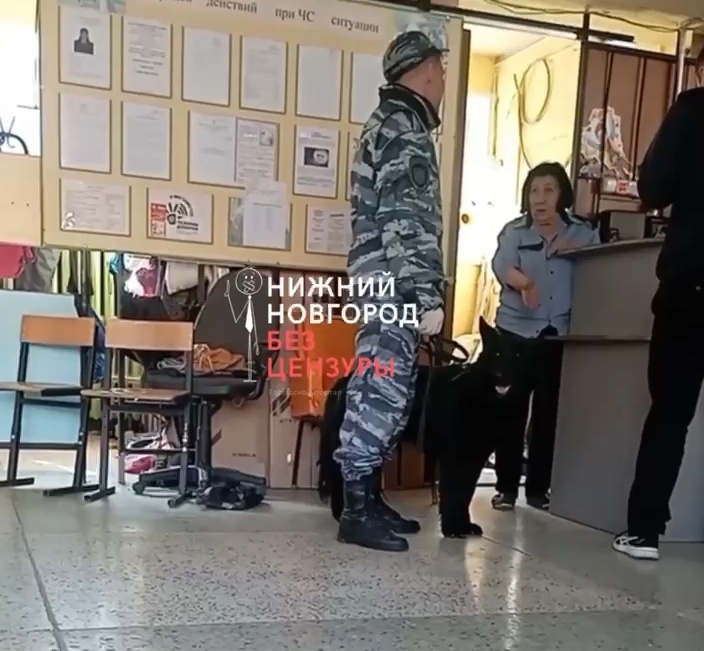 Две школы в Нижнем Новгороде были эвакуированы 17 апреля - фото 1