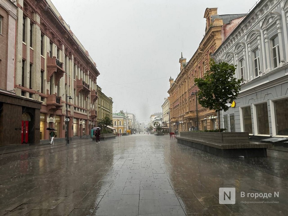 Месячная норма осадков выпала в Нижнем Новгороде в выходные - фото 1