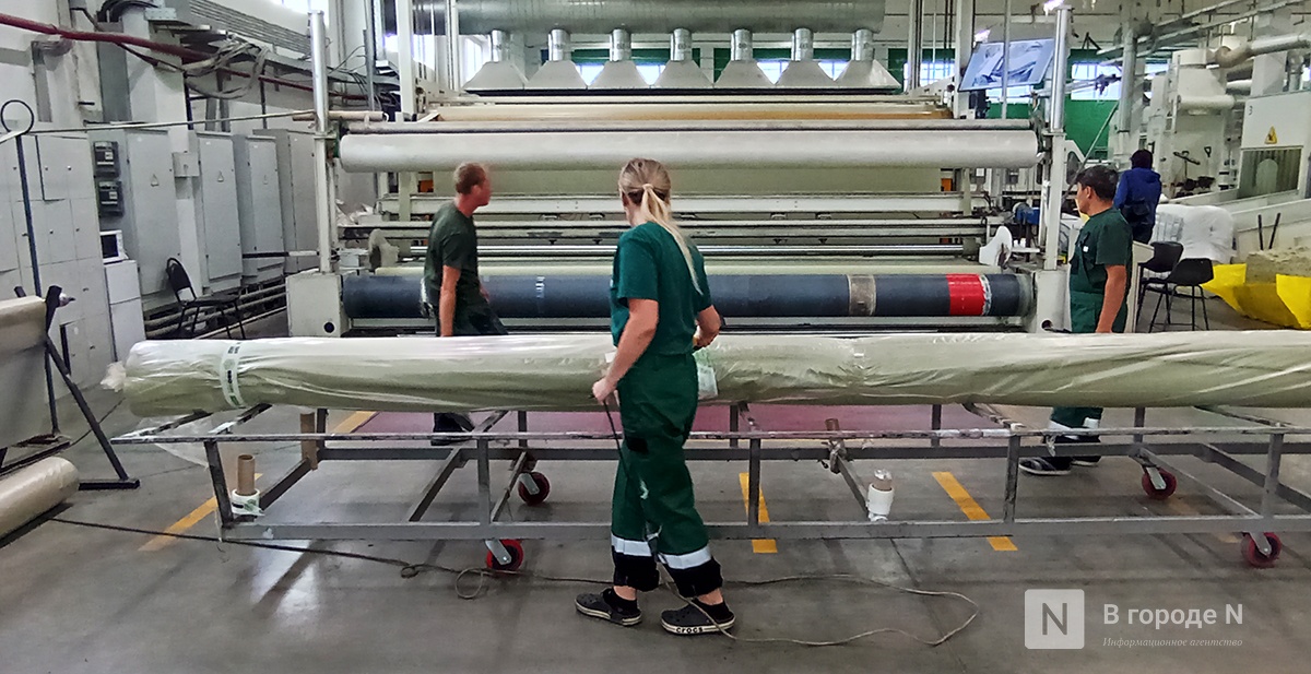 Нижегородский производитель планирует поставлять геотекстиль в Африку - фото 1