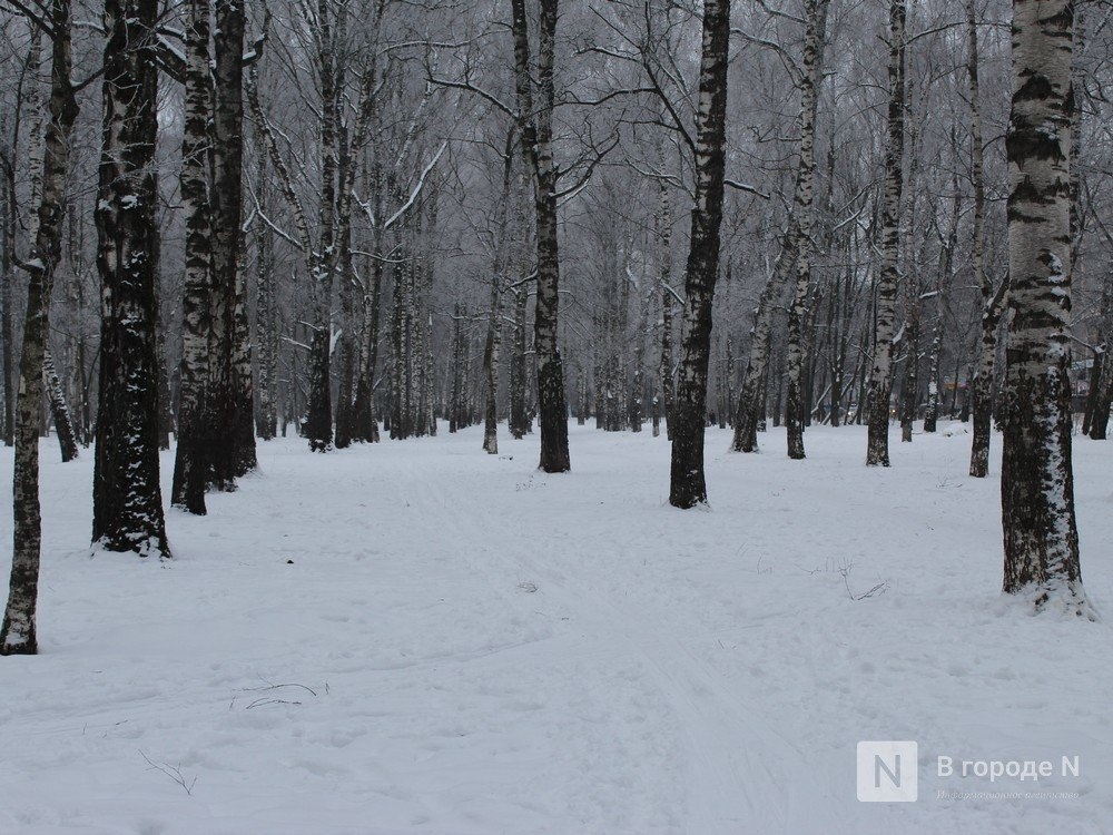 Содержание нижегородского парка Пушкина обойдется более чем в 4 млн рублей - фото 1