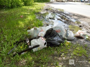 Свыше 40 млн рублей направят на обследование опасных свалок Нижегородской области
