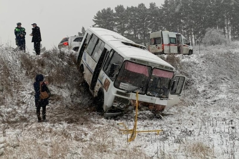 Рейсовый автобус вылетел в кювет в Богородском районе: 6 человек пострадали - фото 1