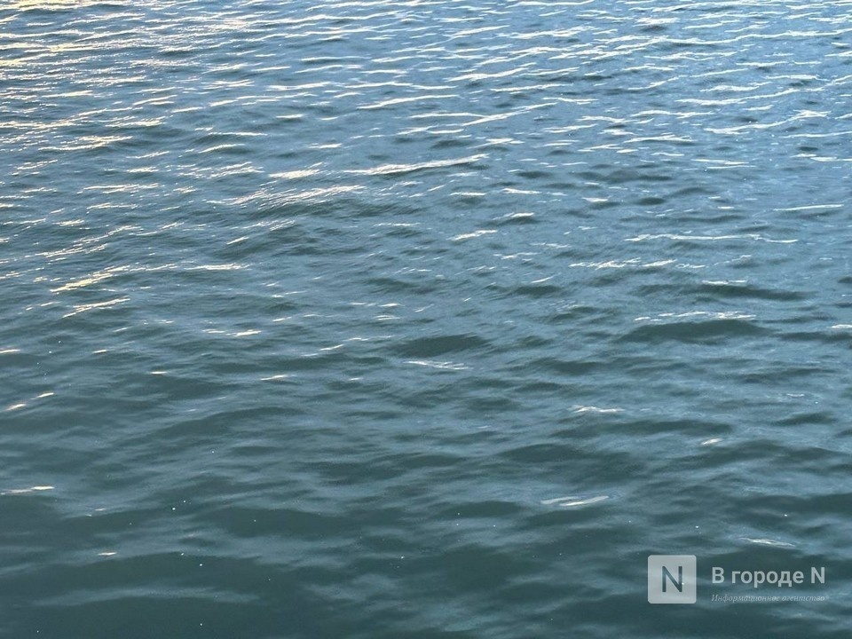 Трое мужчин утонули за сутки в Нижегородской области - фото 1