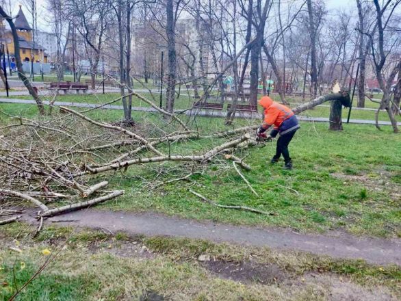 Последствия урагана и ливня устраняют в Нижнем Новгороде - фото 1