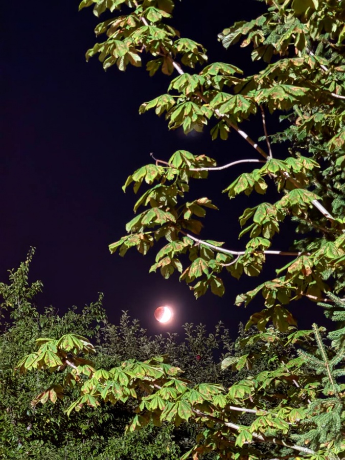 Жители Нижнего Новгорода делятся фотографиями лунного затмения - фото 4