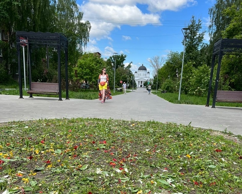 Нижегородцы массово жалуются на цветочных вандалов - фото 1