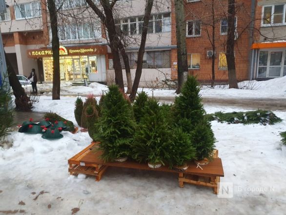В двух районах Нижнего Новгорода незаконно продавали елки - фото 2