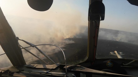 Четвертый класс пожароопасности объявлен в пяти районах Нижегородской области