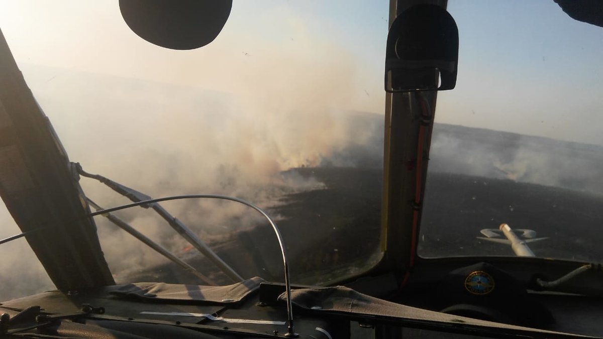 Четвертый класс пожароопасности объявлен в пяти районах Нижегородской области - фото 1