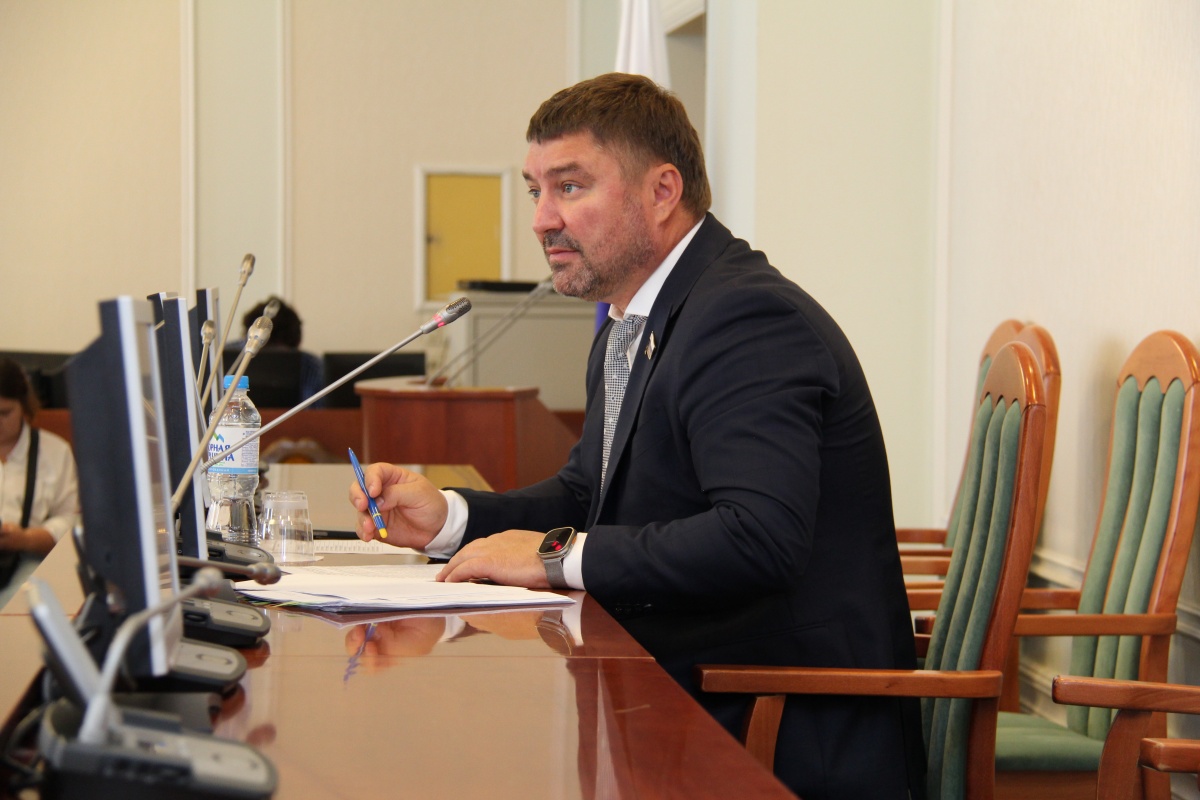 Депутат Атмахов провел шесть онлайн-встреч с нижегородцами - фото 1