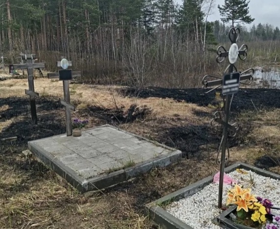 &laquo;Бесовщина в чистом виде&raquo;: пожар произошел на кладбище в Нижнем Новгороде - фото 1