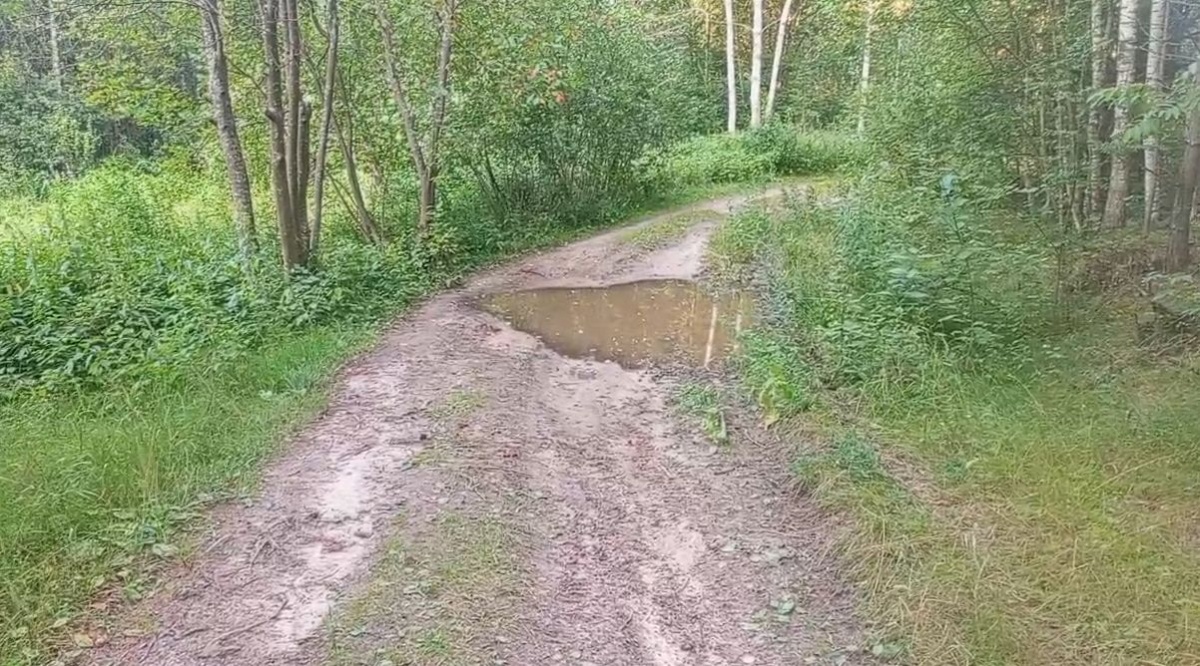 Квадроцикл попал в ДТП в Нижегородской области: пострадала девочка - фото 1