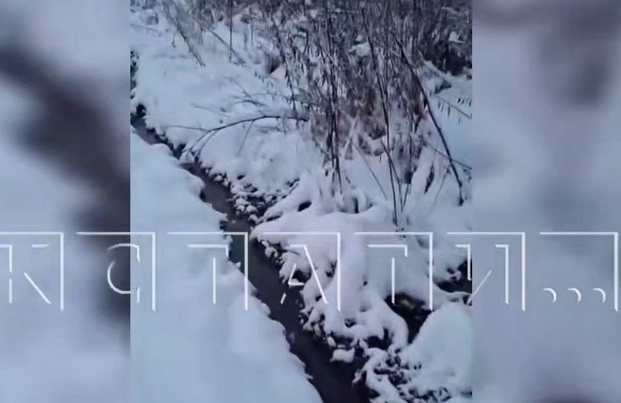 Нижегородцы заявили о новом экологическом ЧП в Богородске - фото 1