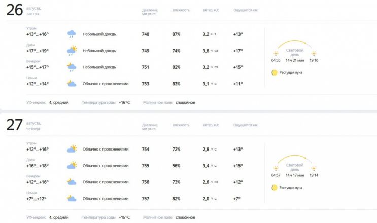 Опубликован подробный прогноз погоды на конец августа в Нижнем Новгороде - фото 3