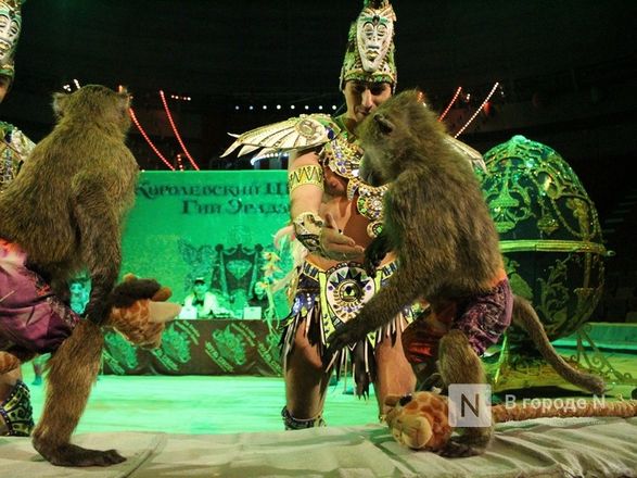 Возвращение &laquo;Бурлеска&raquo;: Нижегородский цирк открывается уникальным шоу Гии Эрадзе - фото 22