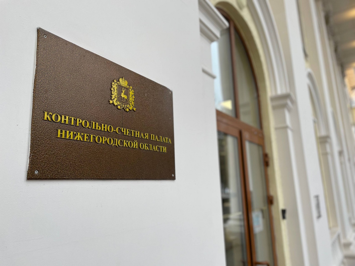 Ирина Григорьева может стать главой КСП Нижегородской области - фото 1