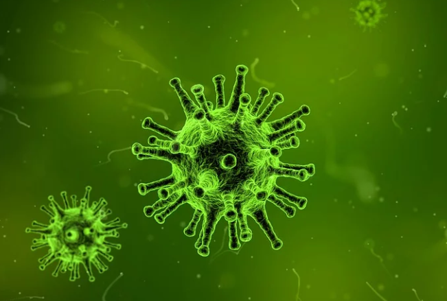 Почти 14% нижегородцев боятся заболеть китайским коронавирусом - фото 1