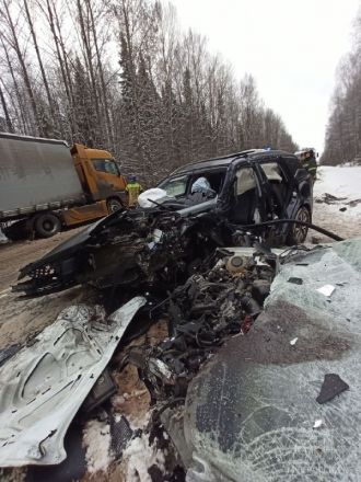 Опубликованы фото с места страшного ДТП с детьми в Нижегородской области - фото 1