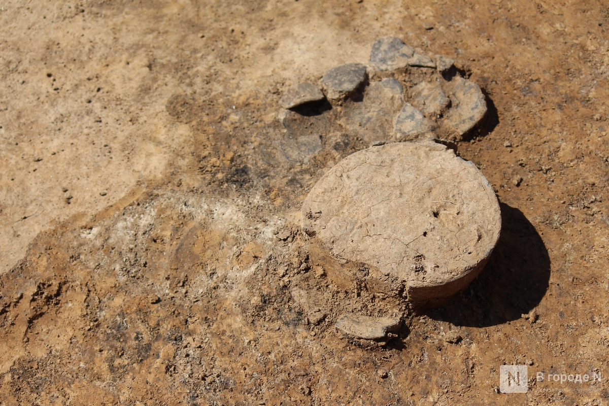 Опубликованы фото с места археологических раскопок под Вачей - фото 1