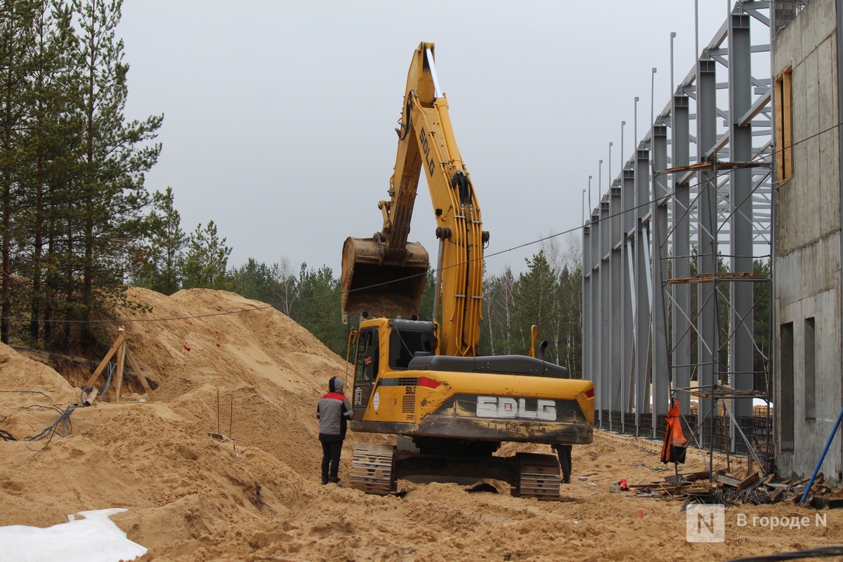 Эксперт рассказал о серьезных рисках при строительстве ОЭЗ &laquo;Кулибин&raquo; - фото 1