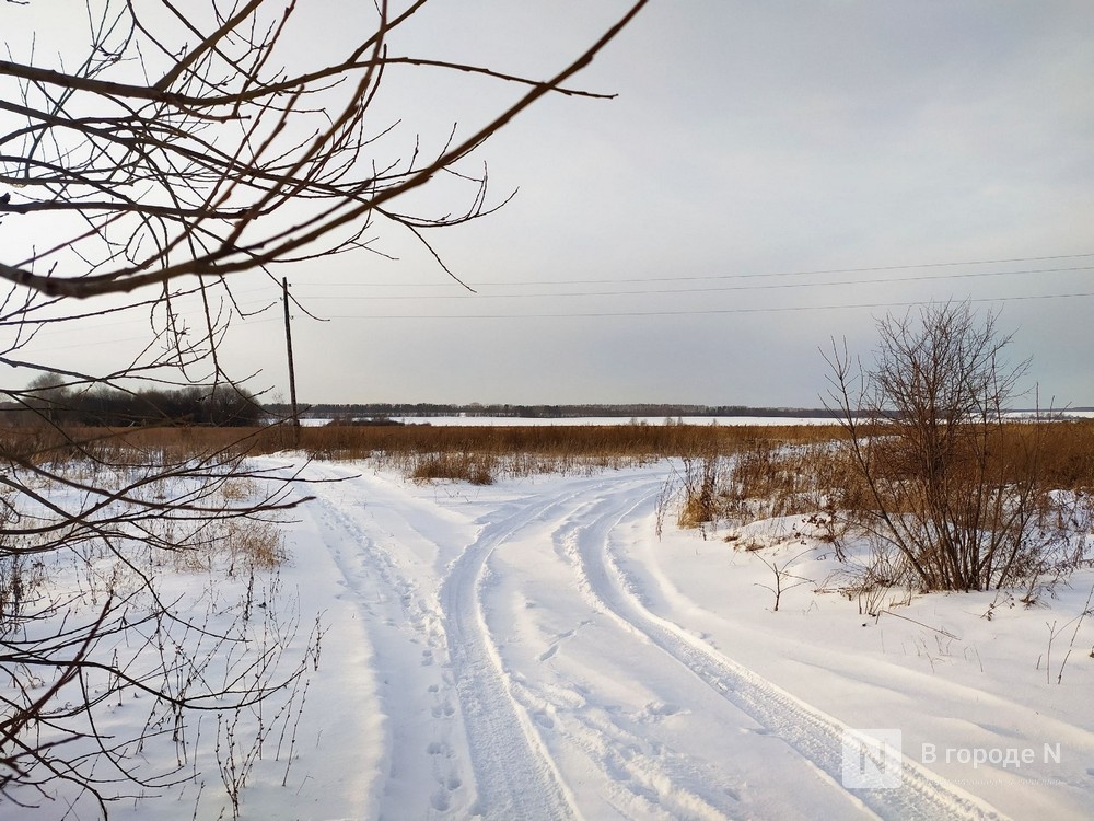 Потепление и снежная погода ожидается в Нижнем Новгороде на неделе