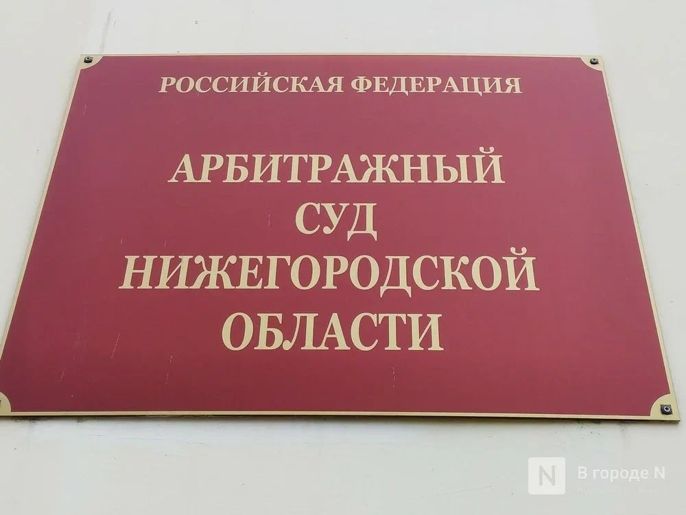 Нижегородец заплатит 100 тысяч рублей из-за «Смешариков»
