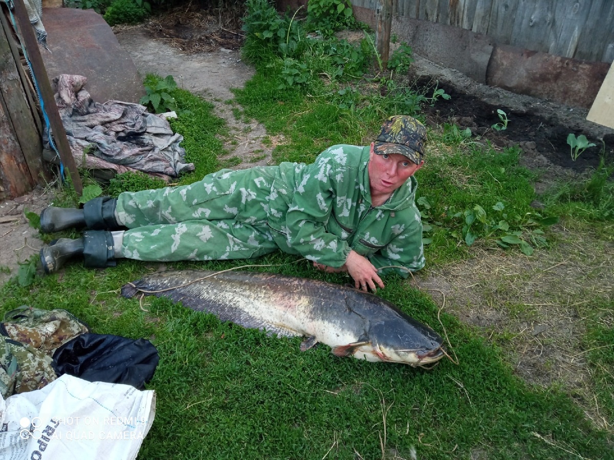 Гигантского сома выловил нижегородский рыбак - фото 2