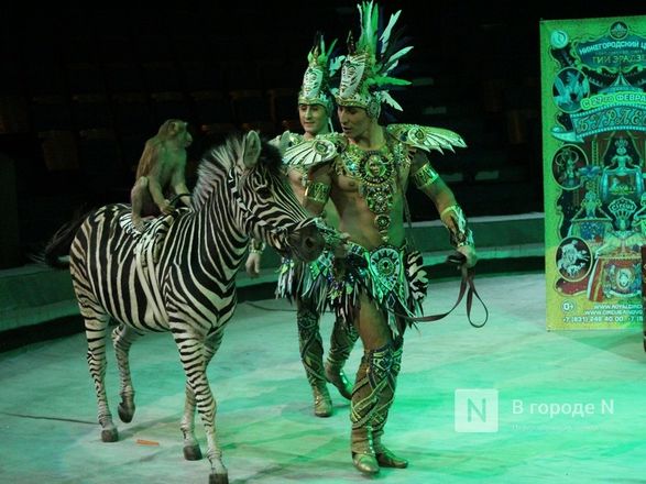 Возвращение &laquo;Бурлеска&raquo;: Нижегородский цирк открывается уникальным шоу Гии Эрадзе - фото 29