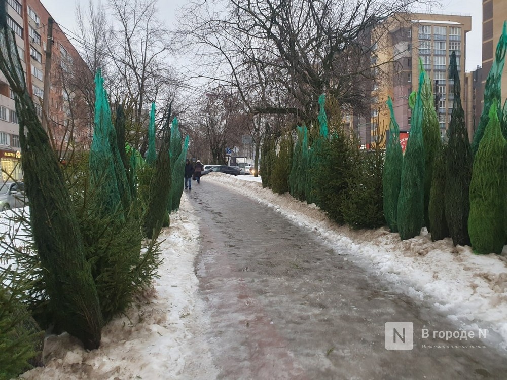 В двух районах Нижнего Новгорода незаконно продавали елки - фото 1