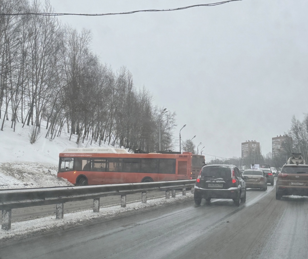 Мызинский Мост Нижний Новгород Фото