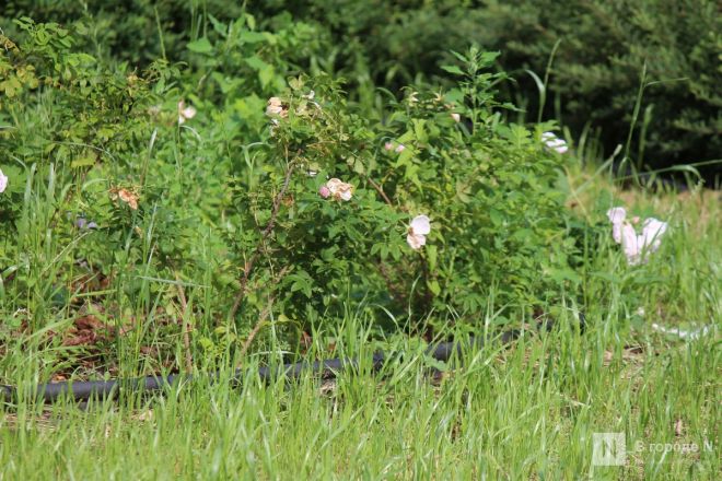 Благоустройство &ndash;  2025: смотрим, как меняются пространства в районах Нижнего Новгорода - фото 15