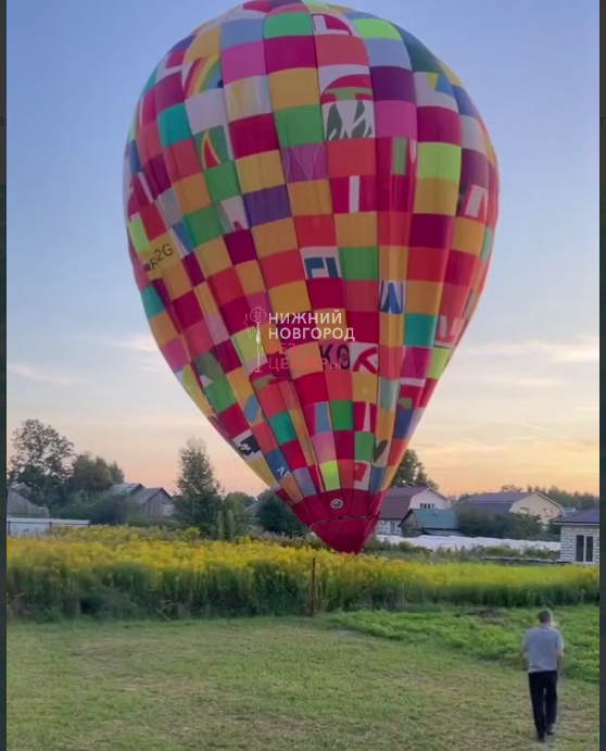 Воздушный шар экстренно приземлился в огород нижегородцев - фото 1