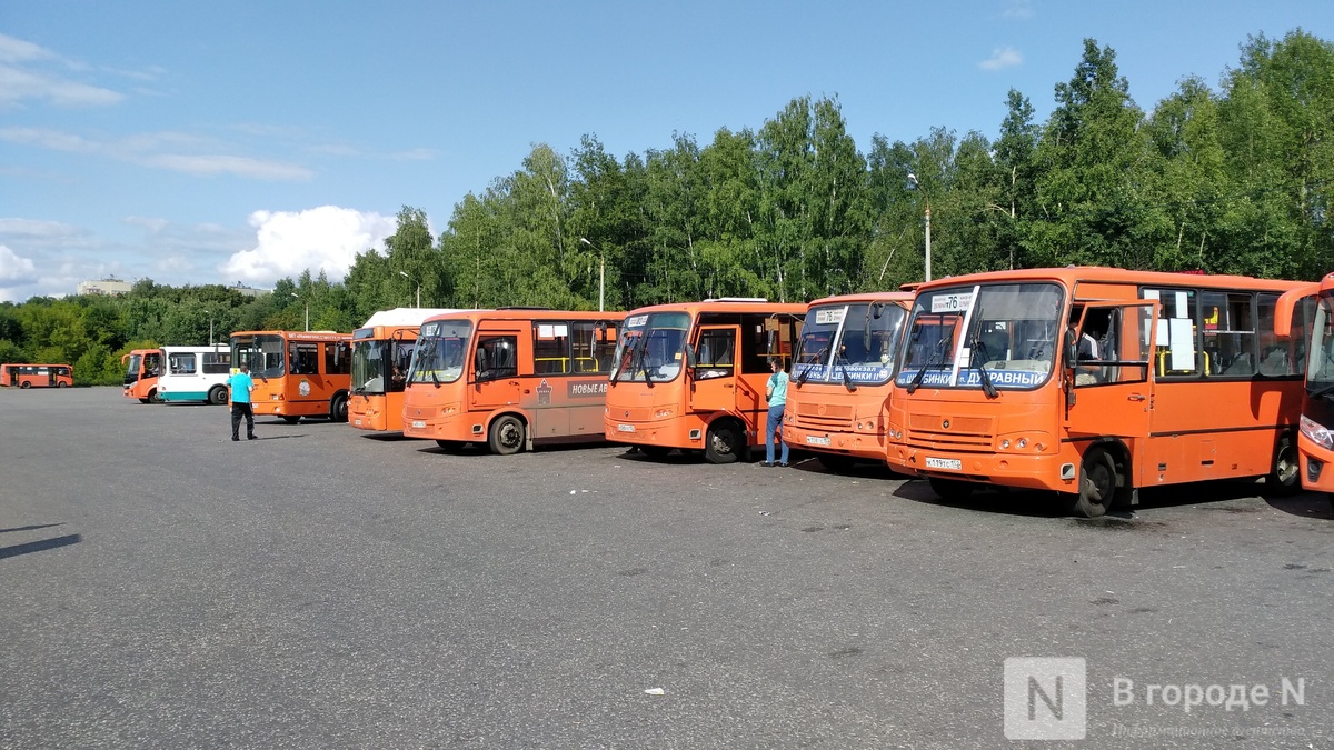В Минтрансе пояснили, кто может бесплатно ездить на общественном транспорте в Нижегородской области - фото 1