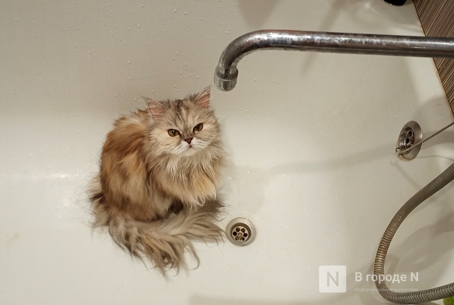 Один дом остается без воды после аварии на сетях в ЖК &laquo;Новая Кухнечиха&raquo; - фото 1