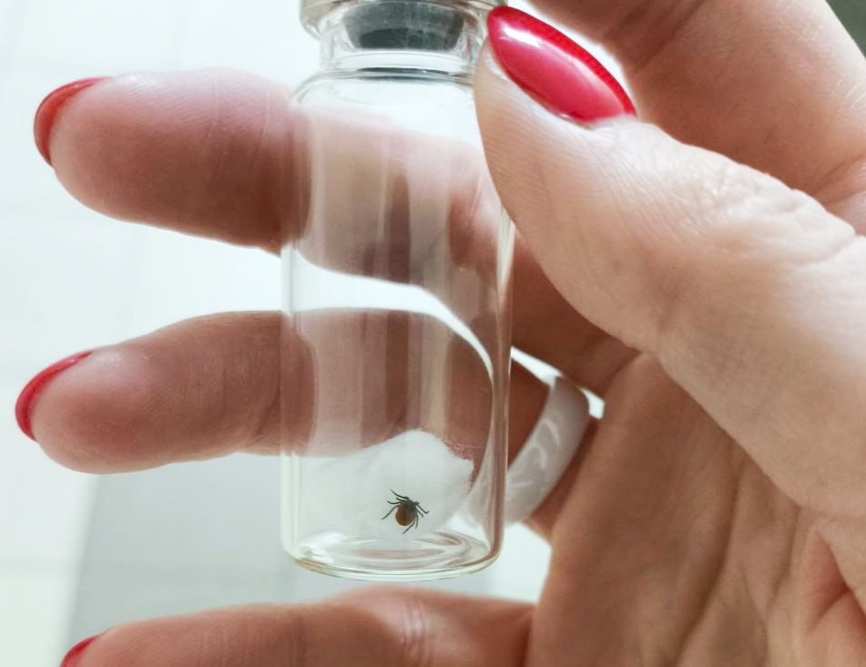 Нижегородцы приняли присосавшихся клещей за папилломы - фото 1