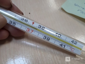 В 5 школах и 261 классе в Нижегородской области введен карантин по ОРВИ