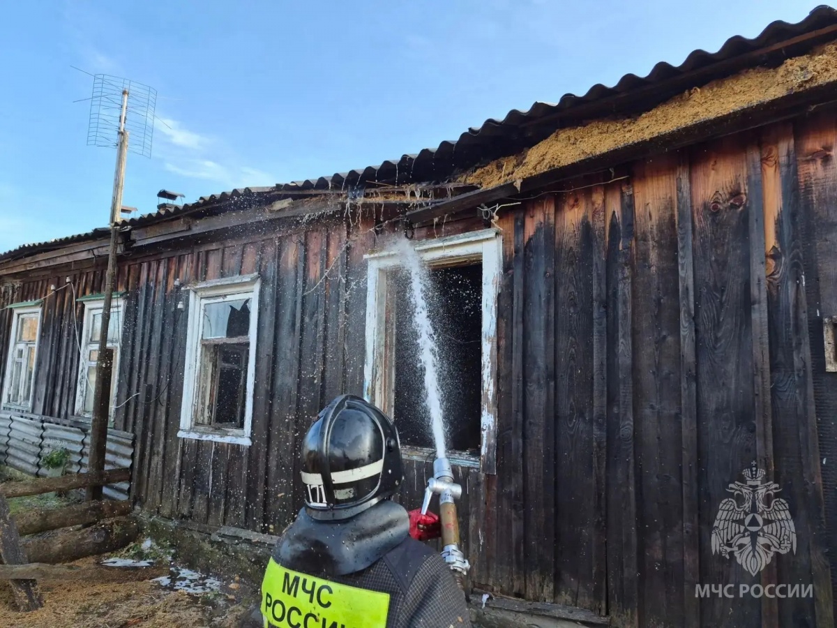 Стали известны подробности смертельного пожара в Лукояновском округе - фото 1