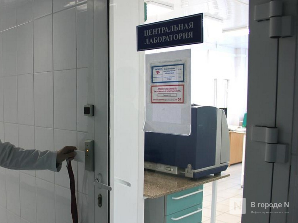 Пекинскую капусту с особо опасным вредителем нашли в Нижегородской области - фото 1