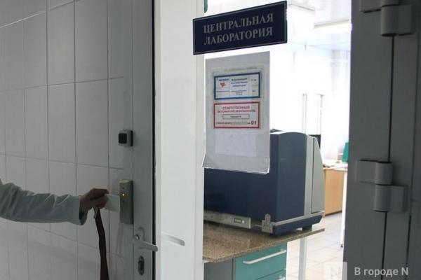 Еще один очаг бешенства обнаружили в Нижегородской области