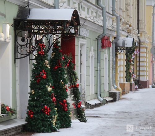 Пингвины, карусель и лунный каток: карта самых атмосферных новогодних локаций Нижнего Новгорода - фото 123