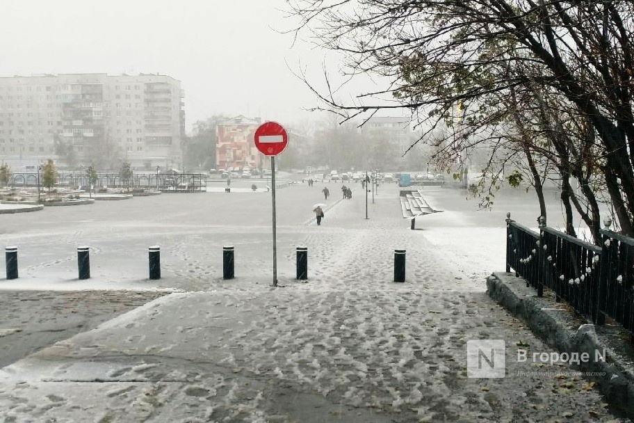 Сильный снег, метель и ветер ожидаются в Нижегородской области в ближайшие выходные - фото 1