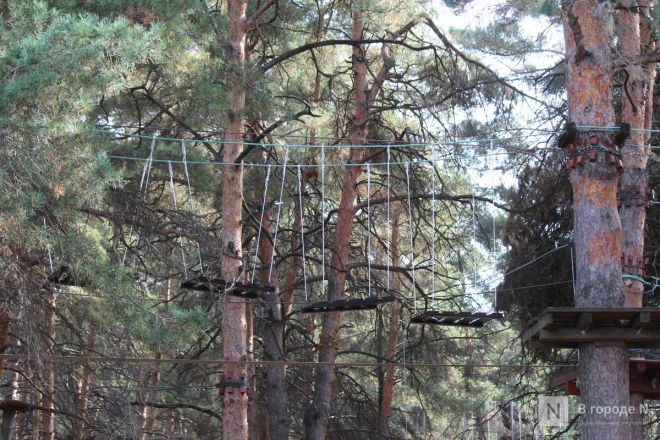 Фоторепортаж: как выглядит Сормовский парк, который ждет масштабная реконструкция - фото 82