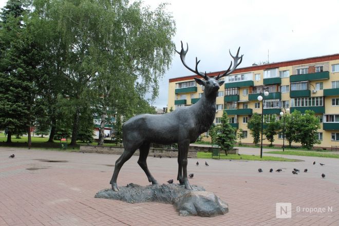 Год под крылом Нижнего Новгорода: как выглядит и чем привлекает Кстово — фоторепортаж - фото 12