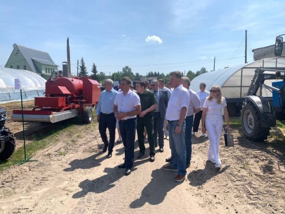 Нижегородские депутаты изучили в Семенове процесс восстановления лесов - фото 3