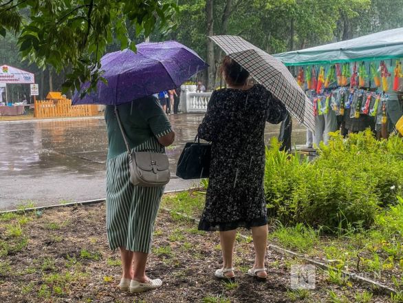 В Нижнем Новгороде отметили Сабантуй - фото 5