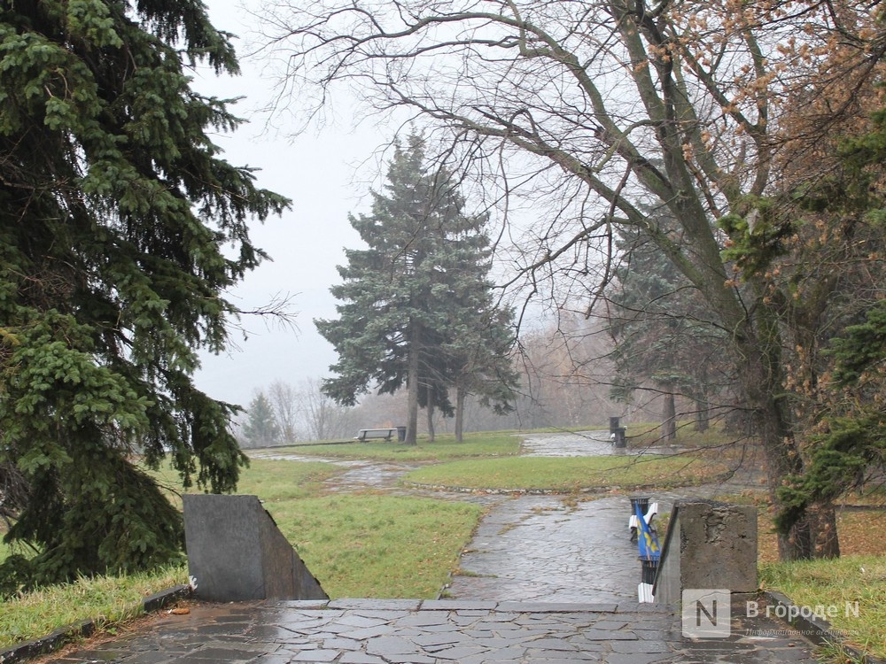 Дождь со снегом ожидается в Нижнем Новгороде в ночь на 1 ноября - фото 1