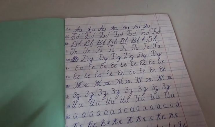 Канадская семья Фейнстра показала свой новый дом в Нижегородской области - фото 8