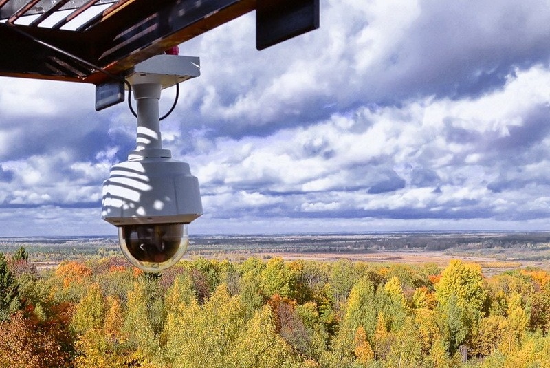 Количество камер видеонаблюдения увеличится в нижегородских лесах - фото 1